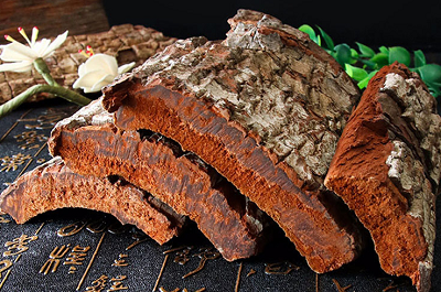 卡賓達(dá)樹(shù)皮