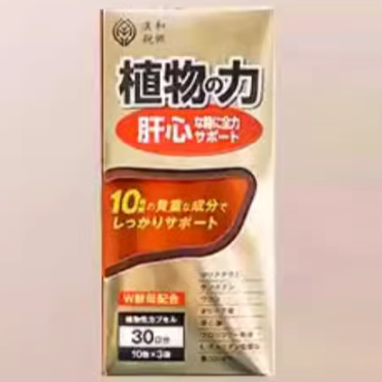 日本漢和源肝清源