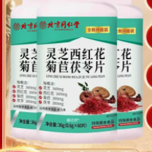 北京同仁堂靈芝西紅花菊苣茯苓片