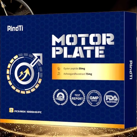 Rindti馬達(dá)片