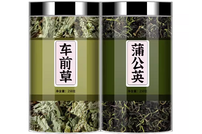 车前草配蒲公英