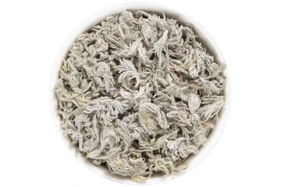 茵陈